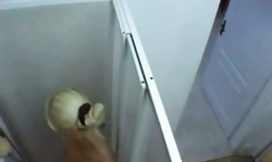 This blondie doesn't know I am watching her strip show