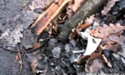 Amazingly sweet busty UK slut banged hard in the forest