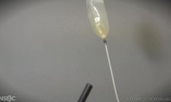 Mummified Real Time Bondage babe and her completely perverted master