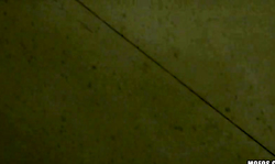 Gorgeous brunette is giving me a truly juicy blowjob