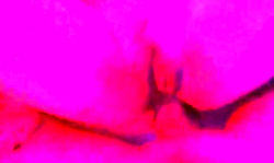 Hot vaginal penetration action in the awesome POV video