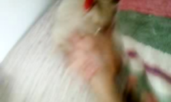 Playful young Russian blonde is posing fully naked in the bedroom