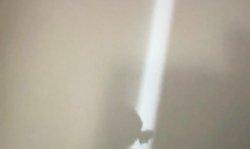 Sensual busty babe Home Porno Tapes Anna Mills is sucking a huge dick like a professional