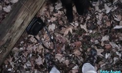 Hot oral sex for money Public Agent with a pretty sweet blonde Dayana Ice