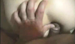 I prefer to drill females' asses than pussies