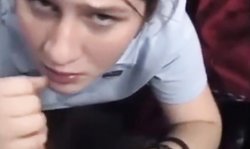 AS BL BLASEBALG POLOSHIRT GESICHTSBESAMUNG