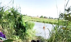 Horny babe gets naked by the lake