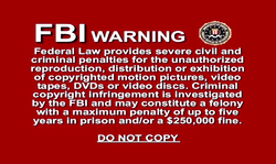 Outstanding silhouette of an elegant model Denise Milani