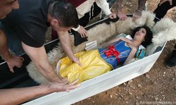 BDSM , Hardcore , Gangbang , Cosplay , Brunette , Big Cock , Deepthroat , Outdoor