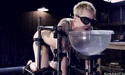 Strapped blonde pussy toyed in device