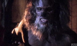 Astonishing blonde Chelsie Rae is getting anally fucked by a black dick