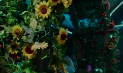 Two cock-swallowing drunk babes are giving heads for free