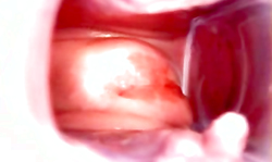 Lusty as hell milf is filming her wide-opened pussy inside