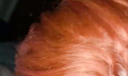 Red head Walmart employee sucks married bro