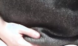 Young Lassie Masturbating in Outside Shitter on a Work Break.