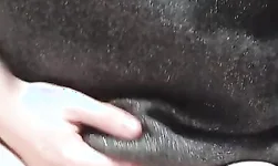 Young Lassie Masturbating in Outside Shitter on a Work Break.