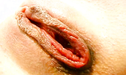 Dark-haired lustful bitch stretches her tight snatch