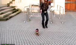 Passionate and shameless cutie Nessa Devil suck a dick in public place