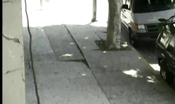 Seduced hot slut Stormy Daniels hardly nailed in her lovely doggy pose