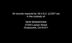 Good-looking bitches are having an amazing lesbian action