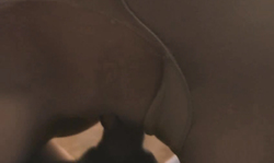 Adorable pantyhose addict beauty is sucking a juicy boner