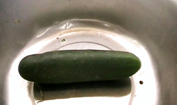 Sweet redhead babe with huge boobs is getting nude outdoors