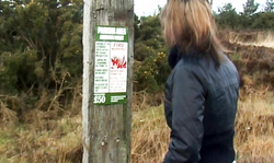 Cony's Girls lady is jerking off a tasty boner in the car