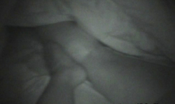 Impressive big natural boobs of a lusty emo girl with tattoos