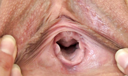 Beauty teen with shaved pussy is stretching her hole