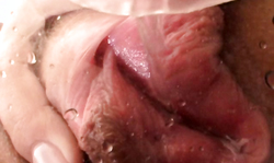 Smiling glamour brunette is getting naked and peeing in cam