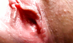 Beauty's round ass and wide-opened shaved pussy are looking awesome