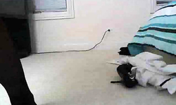 Nikki Sims teases us with her round bottom and sexy long legs