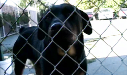 Passionate brunette in pink skirt loves public nudity