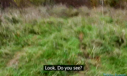 Amazing blonde is being seduced on the street and fucked