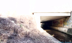 Stranger is seducing another girl after showing his money