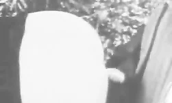 Good-looking outdoor Retro sex in doggy style pose