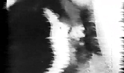 Dark-haired Retro girl knows how to please a real man