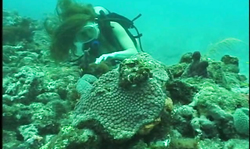 Stunning underwater action of the sexiest busty divers