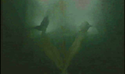 Godlike naked strippers are dancing underwater with passion