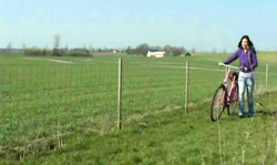 Soloing Unge Danske brunette shoves a pink dildo in her snatch