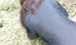 Slutty as fuck Aische Pervers dicked in the doggy style pose