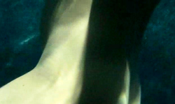 Crazy underwater cock-riding action with a busty brunette