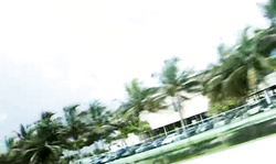 Sexy as hell Brandi Belle gets drilled in doggy style pose