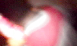 Perfect lesbian action with the awesome Chicago Freak Fest babes