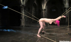 Pink-haired busty babe Cherry Torn is being hardly bonded