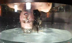 Water bondage with Hollie Stevens, Isis Love, Jessica Sexin, Sasha Monet and Lola