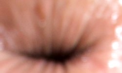 Amazingly hot tight asshole and shaved pussy of a soloing brunette