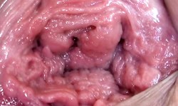 Slutty cutie with pink snatch fingers her clit in close-up